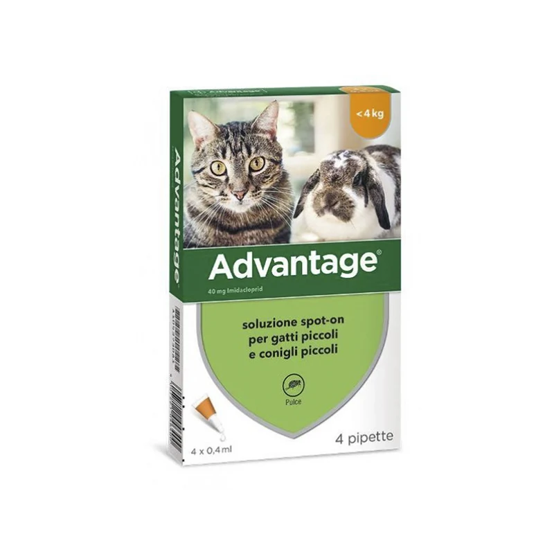 Advantage Spot-on antipulci per gatti e conigli di taglia piccola