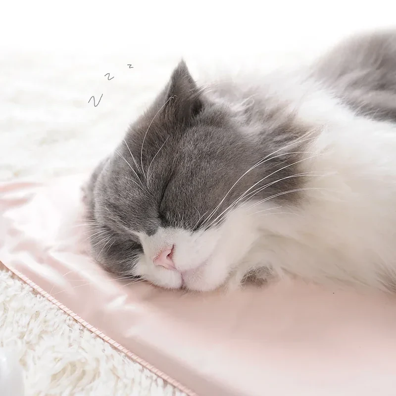 Verwarmingskussen voor Huisdieren – Waterdicht met Temperatuurregeling voor Katten en Honden