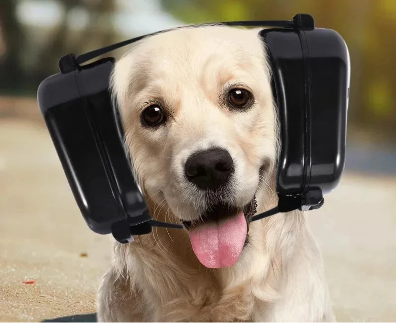 Oorbeschermers voor Honden – Geluidsisolerende Bescherming voor Jacht en Schietsport