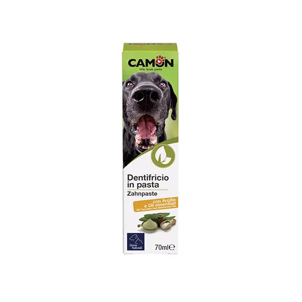 Camon Dentifricio in pasta