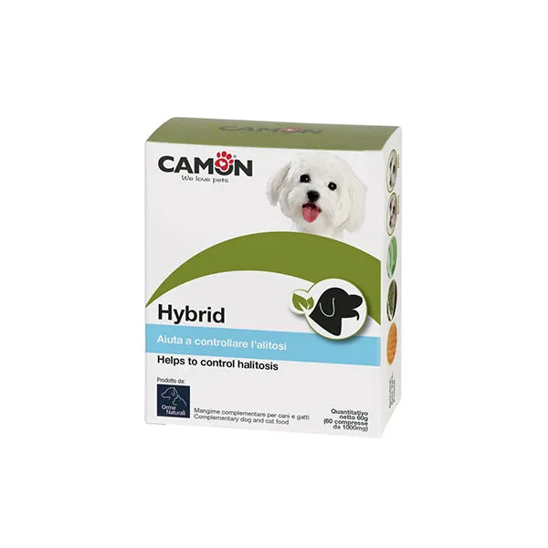 Hybrid