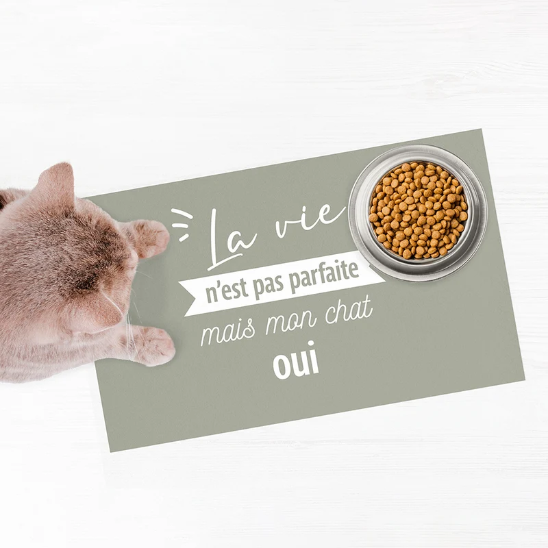 Tappetino per ciotola in vinile perfetto per gatti