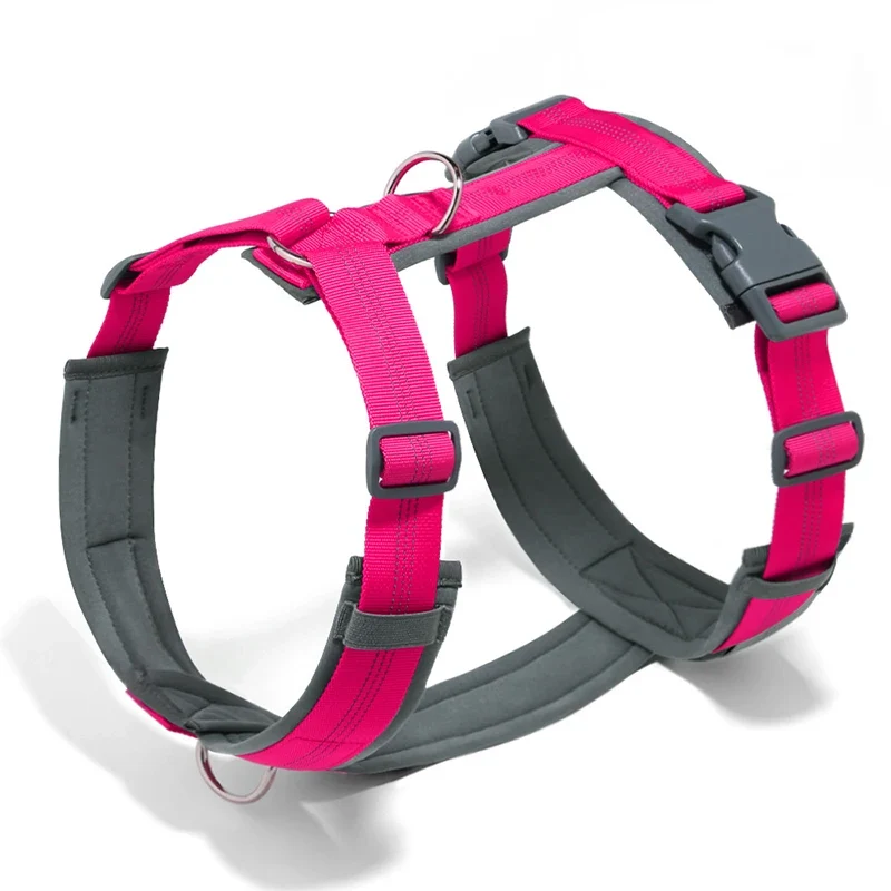 Pettorina ad H per Cani Regolabile, Imbottita e Riflettente | XS-XL