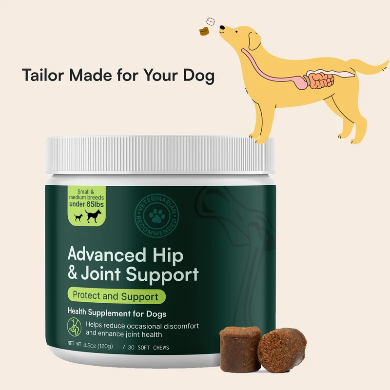 Advanced Hip & Joint Support – Integratore Articolazioni Cani con Glucosamina, MSM e Omega-3 – Soft Chews