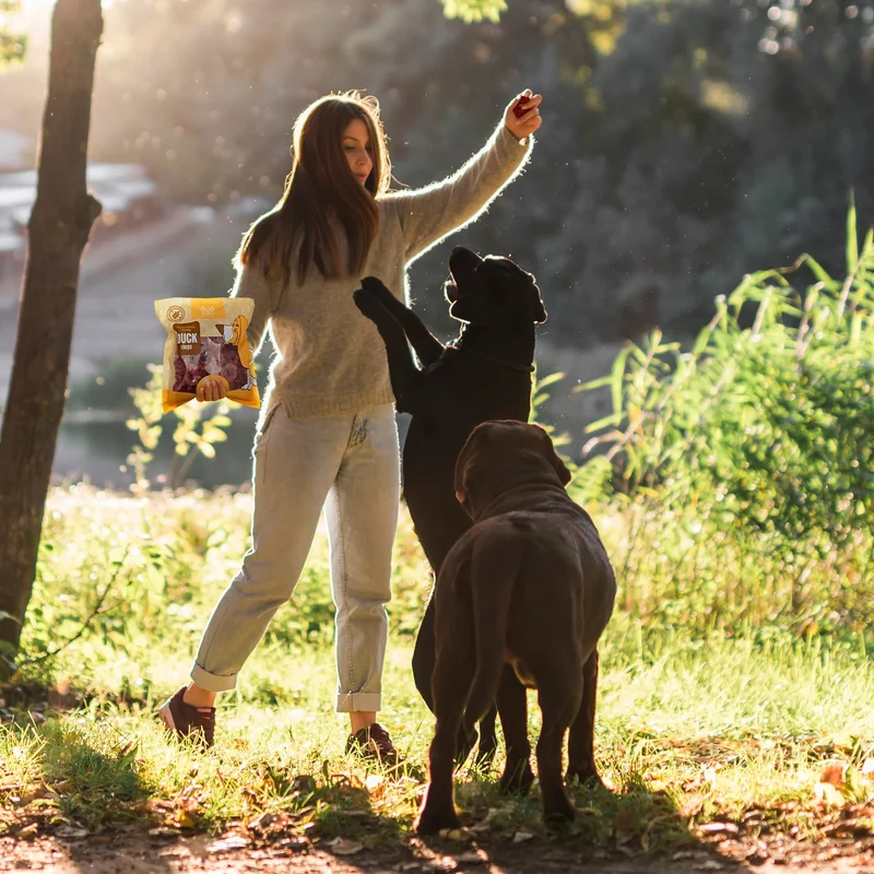 Anelli Snack con Manzo per Cani MERSJO 500 g – Premio e Ricompensa