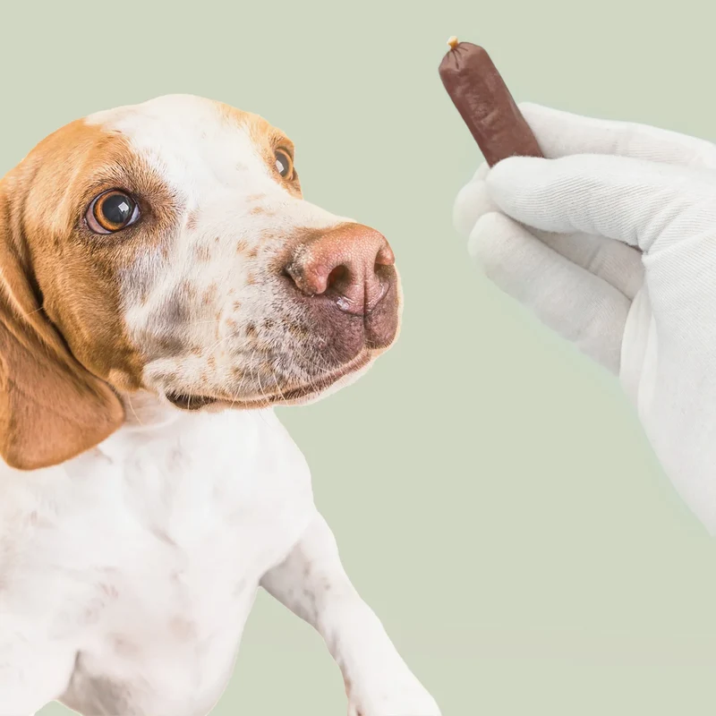 Salsicce Essiccate all’Anatra per Cani MERSJO 500 g – Snack con 90% Anatra