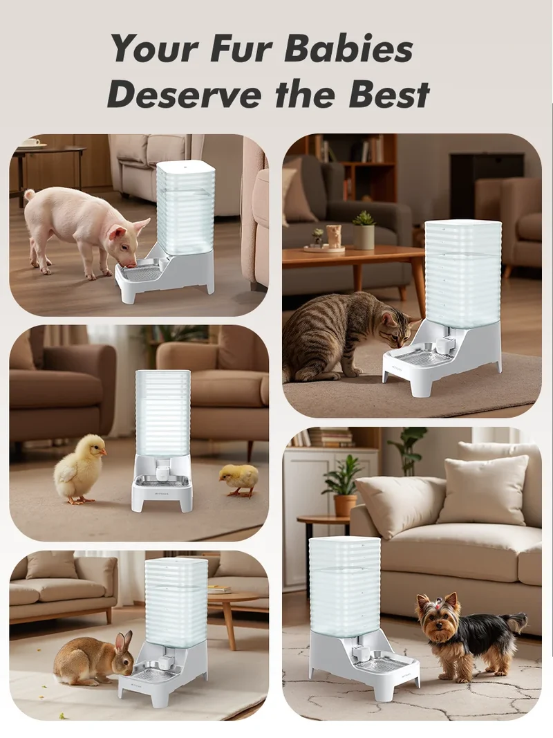 Furpipi Dispenser Acqua Automatico 8L per Cani e Gatti con Filtro e Vaschetta Inox