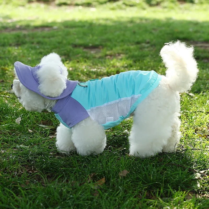 Gilet Rinfrescante Estivo per Cani con Protezione UV | Traspirante XS-3XL