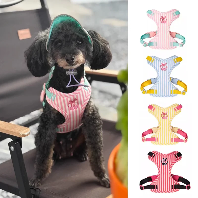 Set Pettorina e Guinzaglio per Cani Regolabile e Imbottita | Design Fashion XS-L