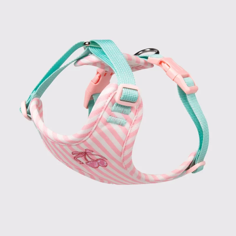 Set Pettorina e Guinzaglio per Cani Regolabile e Imbottita | Design Fashion XS-L