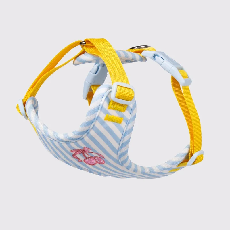 Set Pettorina e Guinzaglio per Cani Regolabile e Imbottita | Design Fashion XS-L