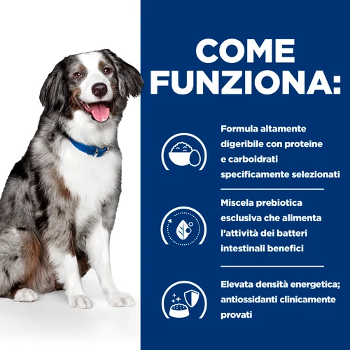 Hill's Canine Prescription Diet i/d Sensitive alimento per cani 10kg