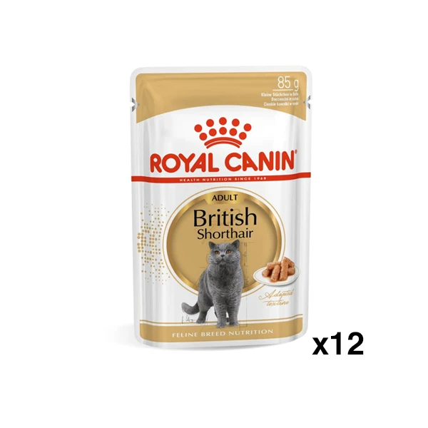 Royal Canin British Shorthair 12 Bustine