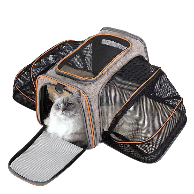 Trasportino Espandibile per Cani Piccoli e Gatti – Borsa Pieghevole Traspirante S/L