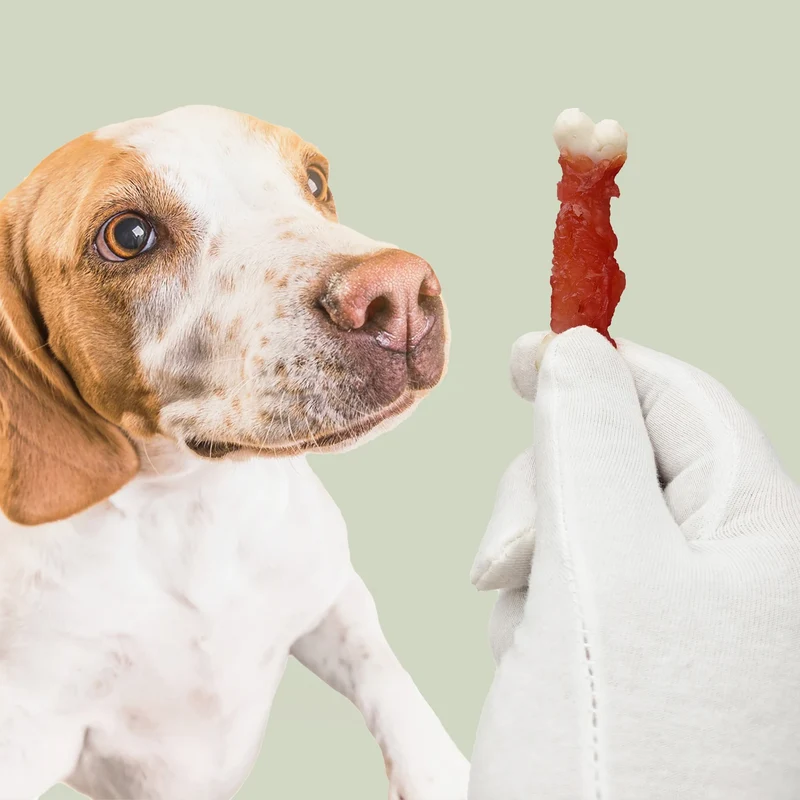 Snack per Cani all’Anatra Mersjo 500 g con Calcio – Bocconcini Premio Essiccati