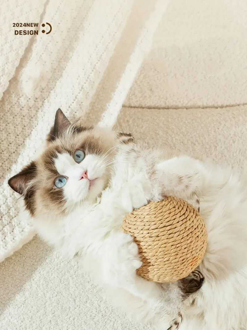Palla Tiragraffi per Gatti in Sisal 10 cm – Gioco Interattivo da Mordere e Graffiare