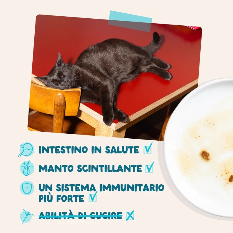 Edgard & Cooper Umido Gatto Adult Tonno e Pollo BOCCONCINI IN SALSA
