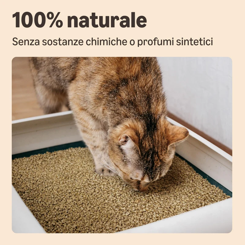 Lettiera per Gatti Agglomerante al Mais, 10L (Confezione da 1) (in Precedenza Un Marchio Lifelong, Stesso Prodotto)