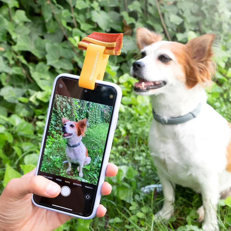 Pack Clip de Selfies para Mascotas y Hamaca Colgante para Gatos InnovaGoods