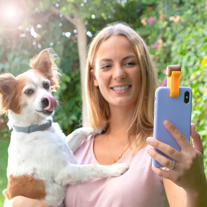 Pack Clip de Selfies para Mascotas y Hamaca Colgante para Gatos InnovaGoods