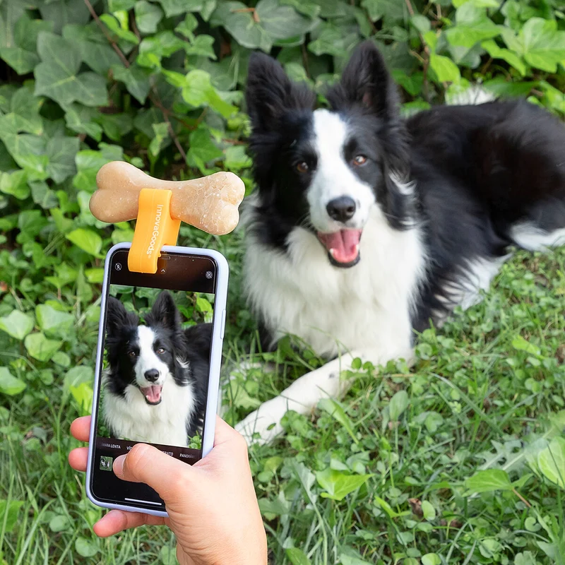 Pack Clip de Selfies para Mascotas y Hamaca Colgante para Gatos InnovaGoods