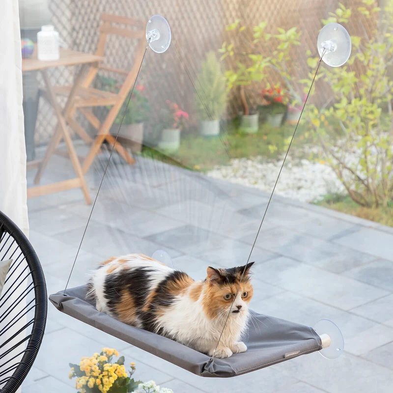 Pack Clip de Selfies para Mascotas y Hamaca Colgante para Gatos InnovaGoods