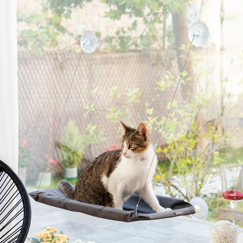 Pack Clip de Selfies para Mascotas y Hamaca Colgante para Gatos InnovaGoods