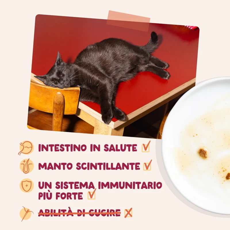 Edgard & Cooper Umido Gatto Adult Pollo BOCCONCINI IN SALSA Monoproteico
