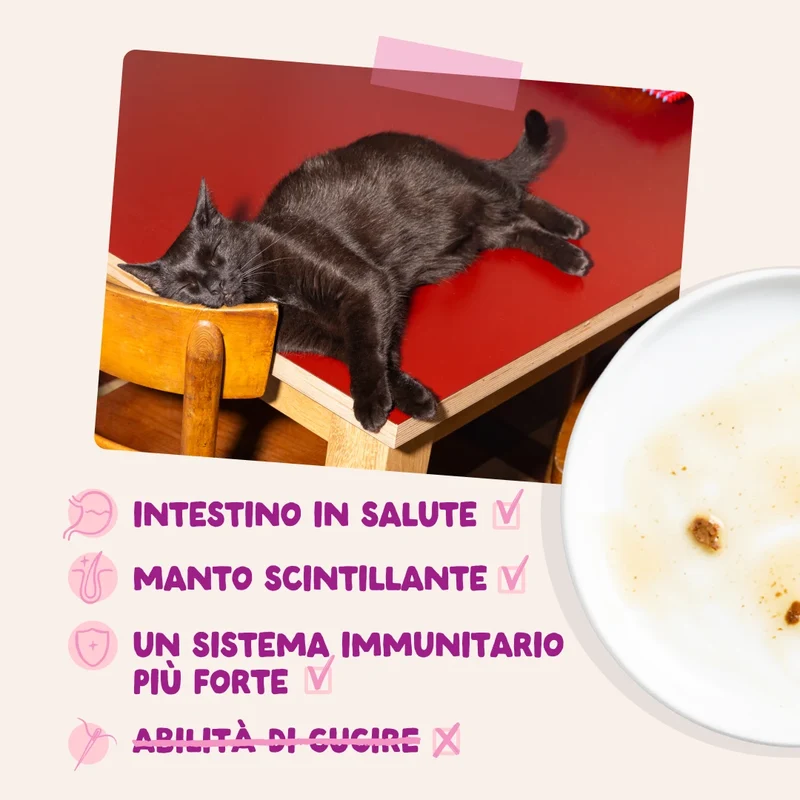 Edgard & Cooper Umido Gatto Kitten Anatra e Pollo BOCCONCINI IN SALSA