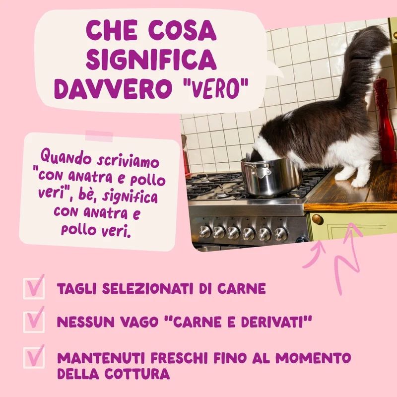 Edgard & Cooper Umido Gatto Kitten Anatra e Pollo BOCCONCINI IN SALSA
