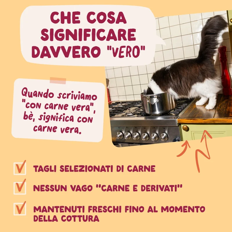 Edgard & Cooper Umido Gatto Multipack BOCCONCINI IN SALSA Sapori della Fattoria 12x85 gr