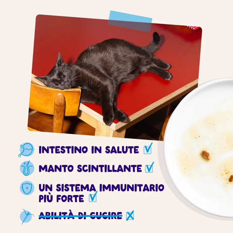 Edgard & Cooper Umido Gatto Multipack BOCCONCINI IN SALSA Pescato del giorno 12x85 gr