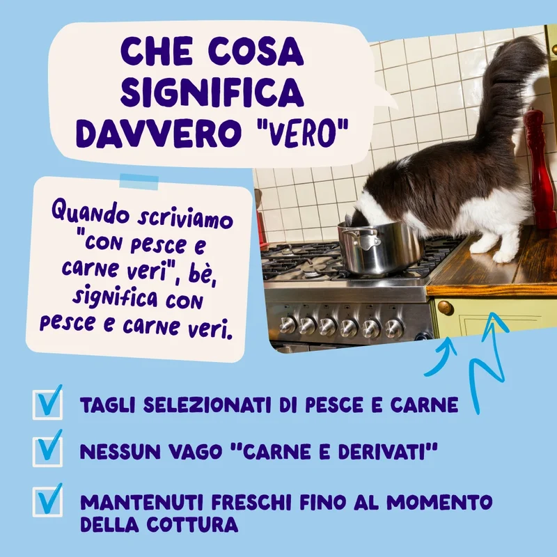 Edgard & Cooper Umido Gatto Multipack BOCCONCINI IN SALSA Pescato del giorno 12x85 gr