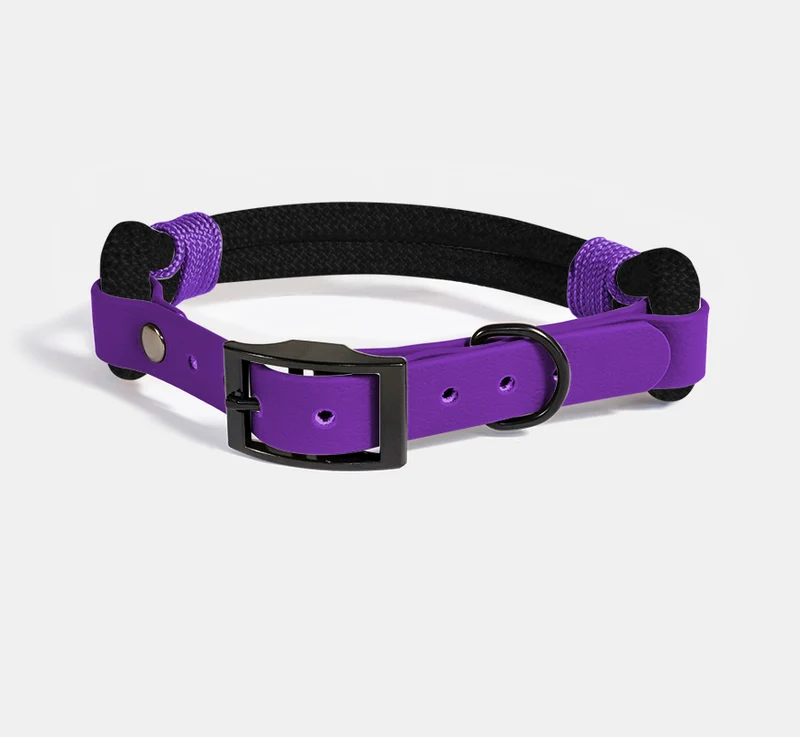 RINGHIO Collare Smile Col. TOTAL BLACK per Cani