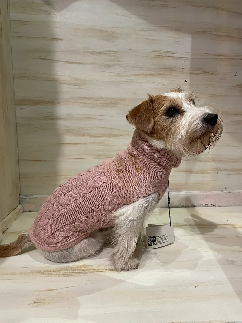 Maglioncino "Champagne e Montagne" - My Dog - ULTIME TAGLIE!!!