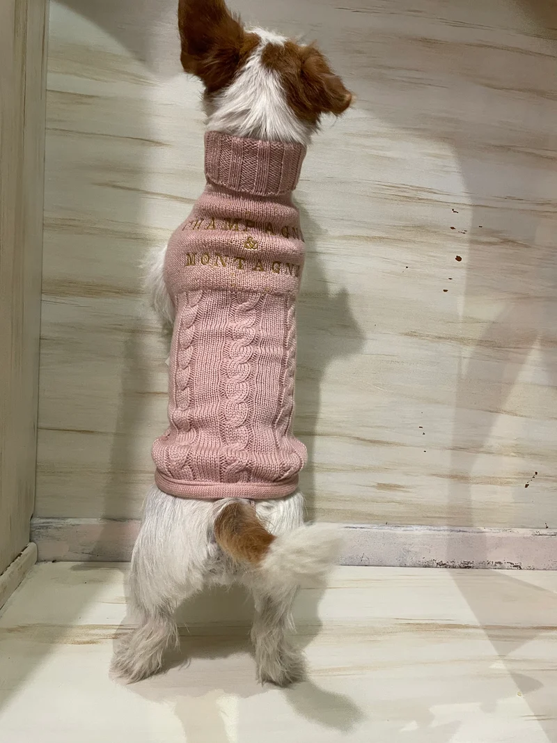 Maglioncino "Champagne e Montagne" - My Dog - ULTIME TAGLIE!!!
