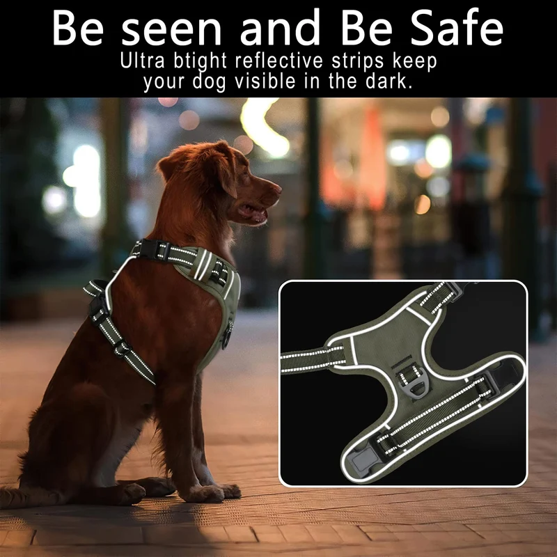 HEELE Pettorina Cane, Imbracatura Sganciata Rapido dal Collo, Pettorina Anti-tiro Riflettente e Regolabile con Maniglia Comoda, Morbida e Imbottita per Cani Piccola Media Grande, Turchese XL