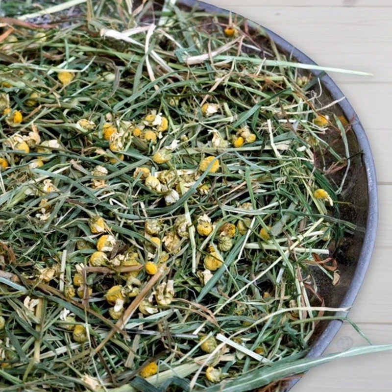 Bunny Nature Fieno Fresco alla Camomilla 500 g | Per Roditori e Conigli