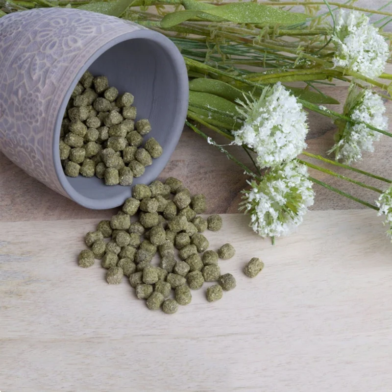 Bunny Crispy Snack alle Verdure | Snack Croccante per Roditori | 30 g