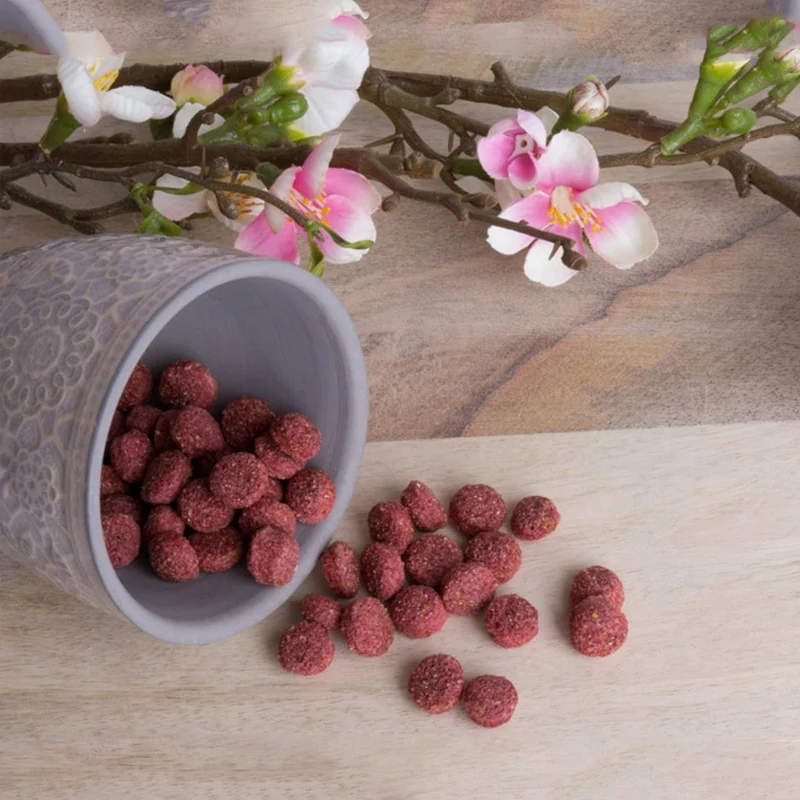 Bunny Crispy Snack alla Barbabietola | Snack Croccante per Roditori | 45 g