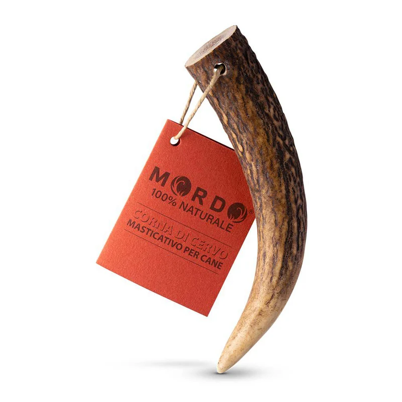 Mordo Corna di Cervo Snack Masticazione Cani | 100% Naturale, Pulizia Denti, Cruelty Free | Tutte le Taglie