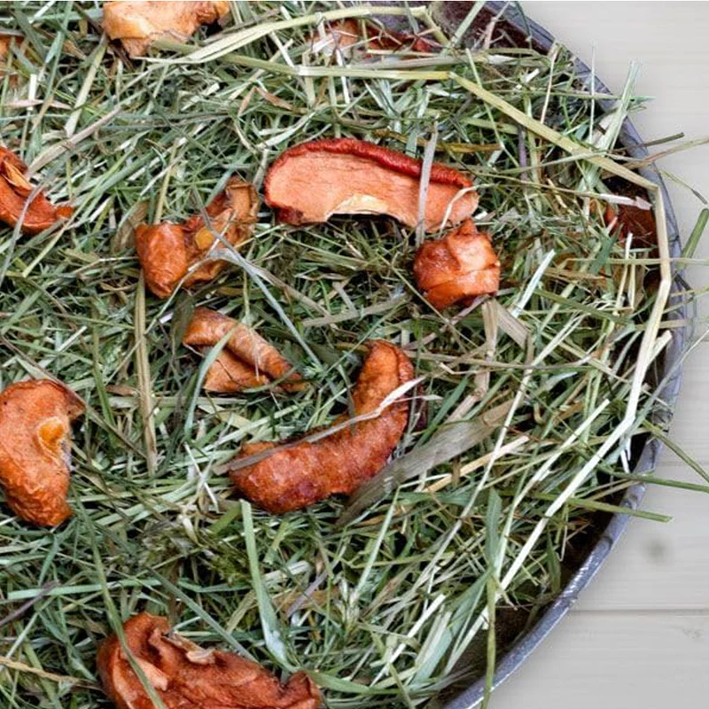 Bunny Nature Fieno Fresco alla Mela 500g | Fibre per Conigli Nani e Roditori