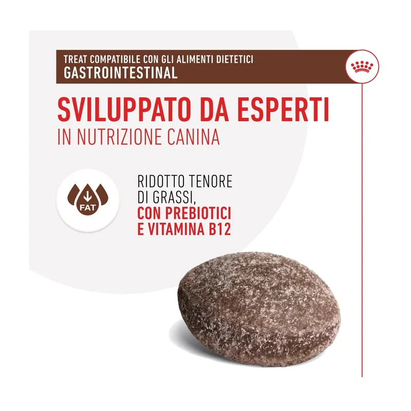 Royal Canin Gastrointestinal Treats Cane 230g | Snack per Sensibilità Digestive