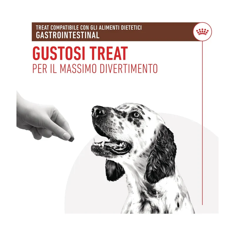 Royal Canin Gastrointestinal Treats Cane 230g | Snack per Sensibilità Digestive