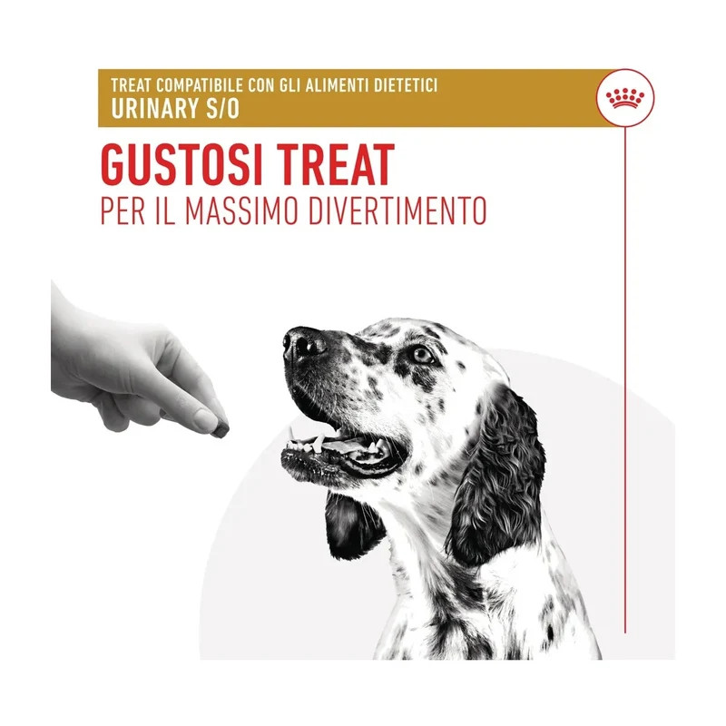Royal Canin Urinary S/O Treats Cane Adulto 230g | Snack per Salute Urinaria
