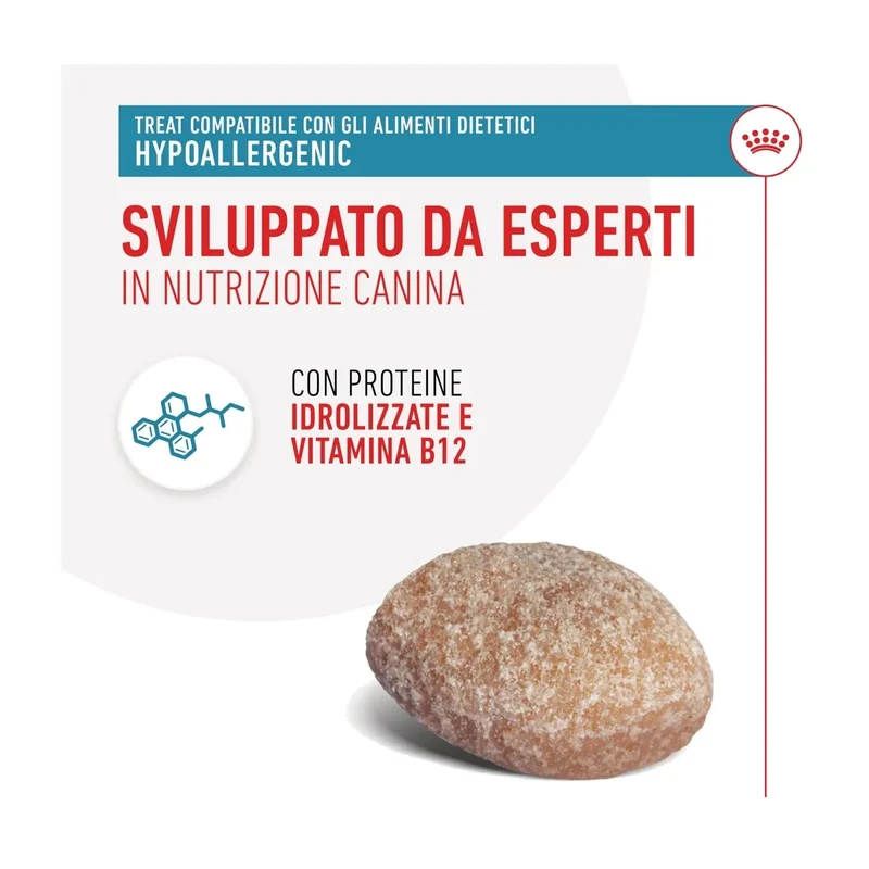 Royal Canin Hypoallergenic Treats Cane Adulto 230g | Snack per Sensibilità Alimentari