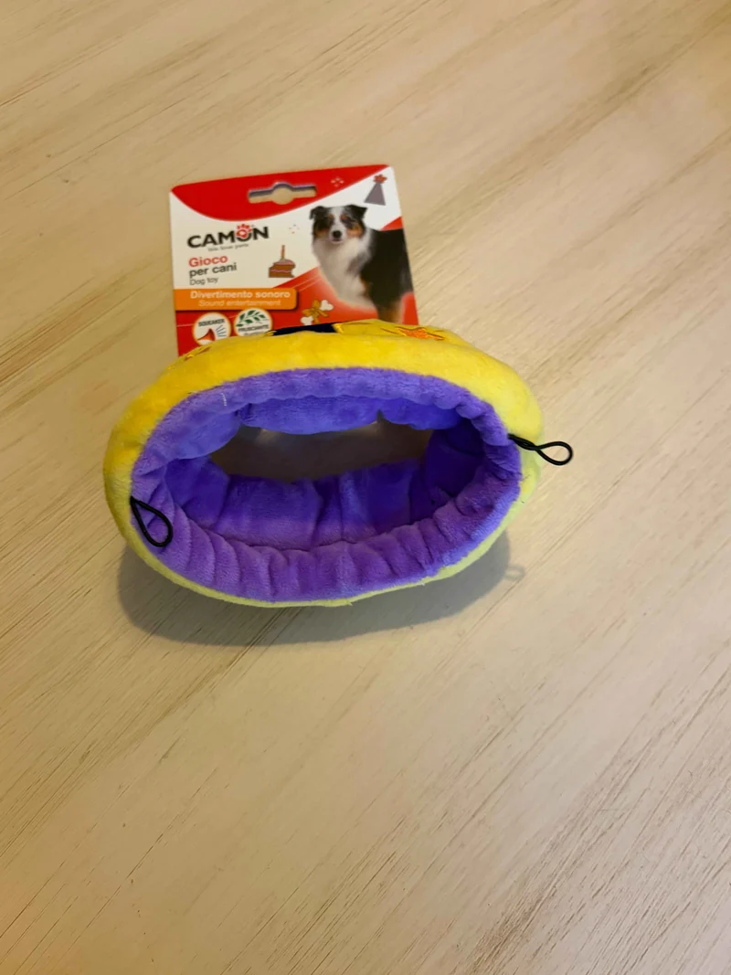 Gioco “Birthday Party” - Camon