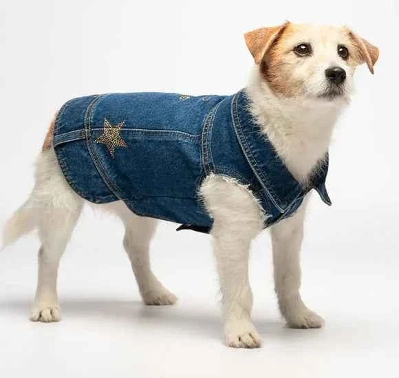 Giubbotto in denim - Liu Jo