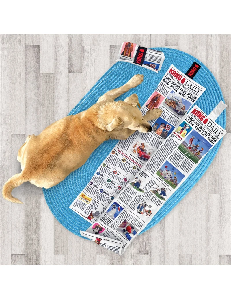 Gioco "Daily Newspaper" XL - Kong