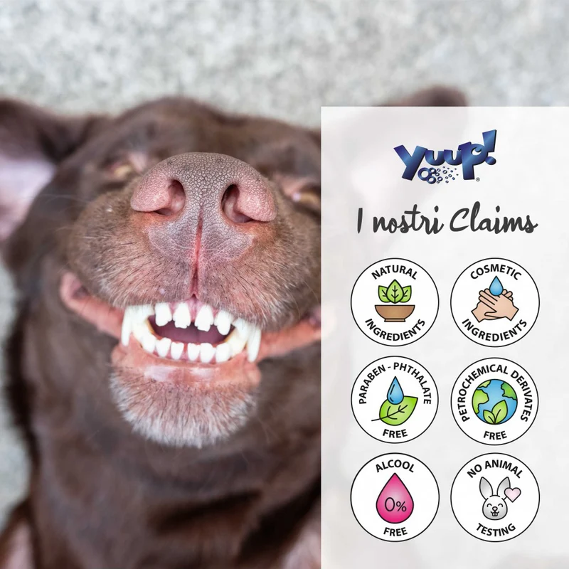 Yuup! Dental Spray 100ml | Dentifricio per Cane e Gatto | Anti-Tartaro | Alito Fresco